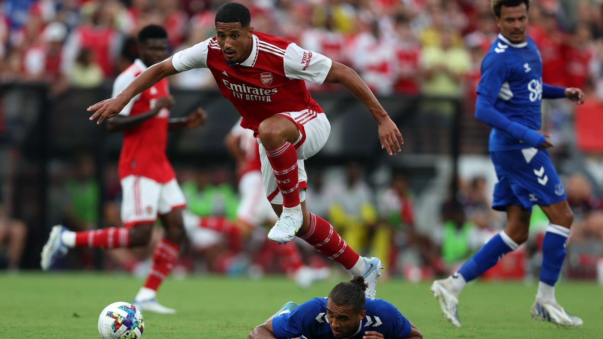 红鸟资本的 红鸟资本的